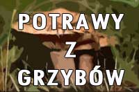 potrawy z grzybów